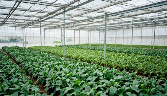 如何通过创意执行实现流量增长?